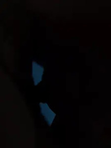 Play full scene called Casal0409 Cam porn model from cam4