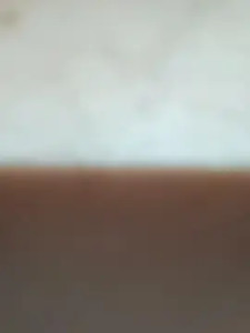 Enjoy watching this complete clip named kiraxD1, 27 years old, trans