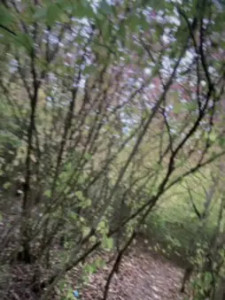 Stream the uncut video of DaveBraun, 57 years old, male