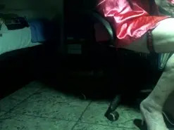 Stream this uncensored video named Sarafox, 56 years old, trans
