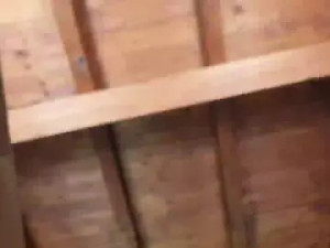 Enjoy watching this hardcore scene titled ____Sara__, 41 years old, trans