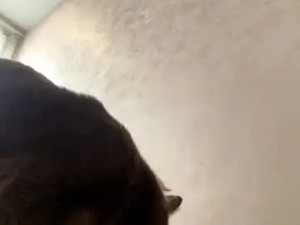 Stream uncut scene of Angelestieu Cam porn model from chaturbate