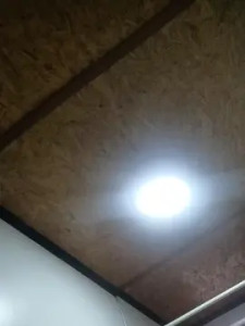 Stream complete scene called Elpingon20cm, 42 years old, male