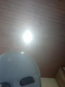 Enjoy watching the hardcore video of Diabinha308sexy Cam porn model from cam4