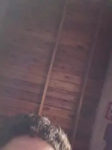 View HD movie titled iorchito3, 35 years old, male