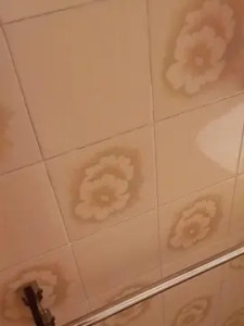 Enjoy watching the full scene named Joni20cm, 37 years old, male