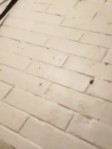 Play uncut video called Mxtxignxcio, 25 years old, male