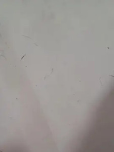 View the hardcore video titled Enanacachonda Cam porn model from cam4