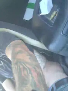 Watch uncut scene called Boy4183, 38 years old, male