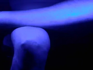 Watch complete movie of junkatsu, 61 years old, male