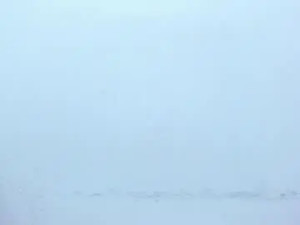 View this full video titled Meii_ds Cam porn model from chaturbate