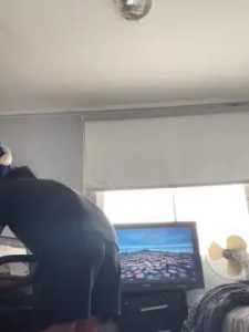 Enjoy watching the hardcore scene titled Tulipannn, 22 years old, male