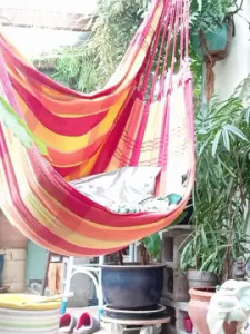 Play full movie titled mecsopenkink, 36 years old, male