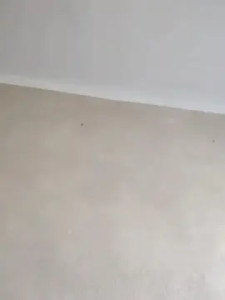 Stream uncut clip of La_stecca20, 37 years old, male