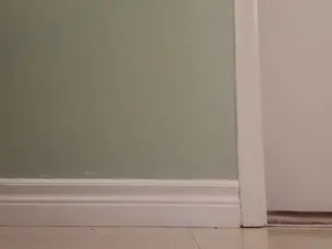 Watch hardcore movie of nicoleandbrian, trans