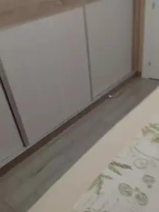 View this full clip named Sexyreyes, 44 years old, male