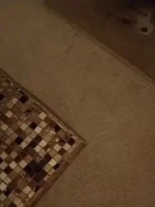 Play this uncensored clip titled Chrissysissy3, 36 years old, male