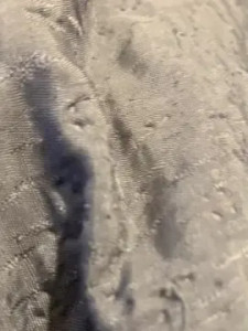 View full video of Casalbbtro Cam porn model from cam4