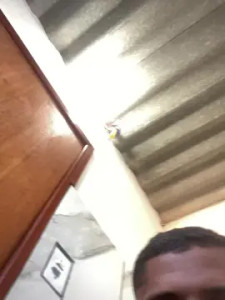 Watch this uncensored video called ryan2028, 24 years old, male