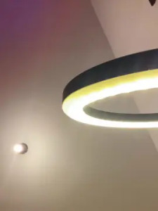 Play the uncensored video of JapinhaProfano, 27 years old, male