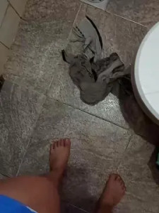 Stream the complete video called Clara274 Cam porn model from cam4