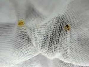 View full movie of Cloe_adams__ Cam porn model from chaturbate