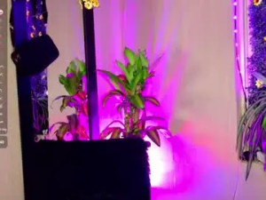 Watch this uncensored movie of mikaelarangel, 23 years old, trans