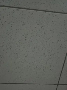 View HD clip titled dantas30, 31 years old, male