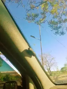 View HD movie of Romina186 Cam porn model from cam4