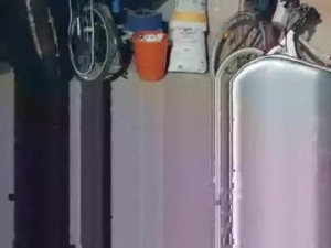 Watch the uncensored scene named siriomix, trans