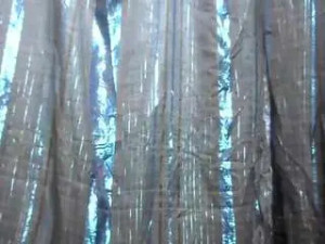 Play this HD clip named Littlemissdiva Cam porn model from camsoda