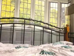 Enjoy watching the HD clip named Blondellgrubaugh Cam porn model from chaturbate