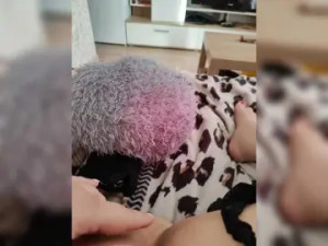 Stream uncut scene titled EvelinaMilfa13 Cam porn model from bongacams