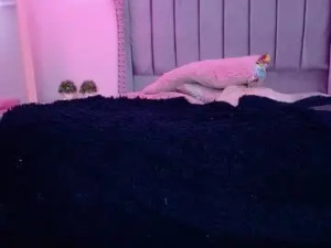 Stream this hardcore scene titled Perla_hot_01 Cam porn model from chaturbate