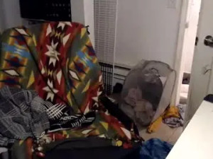 Stream the uncensored clip called jennyneeds, trans