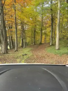 Enjoy watching this hardcore clip titled Lovetopee43, 18 years old, male