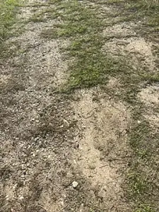 Play the uncensored movie called CrazyInTwo Cam porn model from stripchat