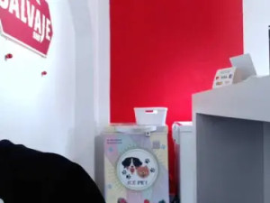 Watch the full video of Gitanaxxx Cam porn model from bongacams