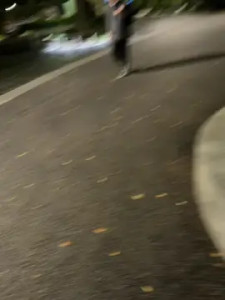 Play the hardcore video named leon1463, 25 years old, male