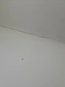 Stream the uncut scene titled novinfofin, 22 years old, male