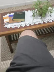 Enjoy watching this uncensored scene called Palmares, 52 years old, male