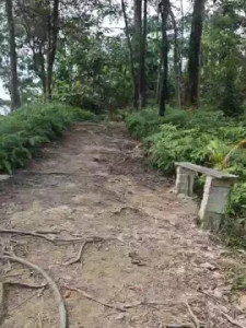 Play this complete scene of stephengg, 39 years old, male