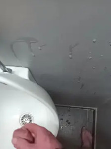 View the complete scene of Envi5, 40 years old, male