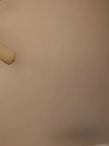 Enjoy watching the full scene titled Uniquelylexi Cam porn model from cam4