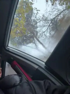 Enjoy watching this complete scene titled SuckmyCock98, 27 years old, male