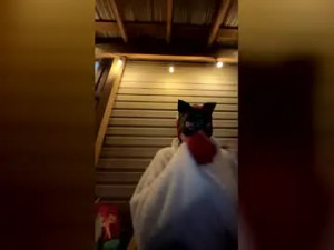 Watch this HD movie titled Tequilacouple3 Cam porn model from chaturbate