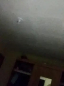 Enjoy watching HD clip called Semnomepb Cam porn model from cam4