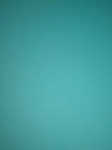 Watch full video named Casals2x Cam porn model from cam4