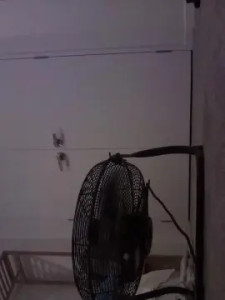 View full clip called XMissyMaoriX Cam porn model from cam4