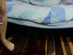 View this HD video titled Darlyroyal Cam porn model from camsoda